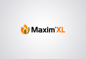 Maxim XL 